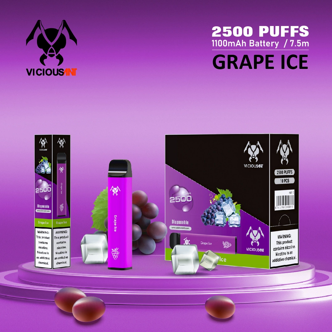 Factory Wholesale 2500 Puffs Prefilled Disposable Vape Device